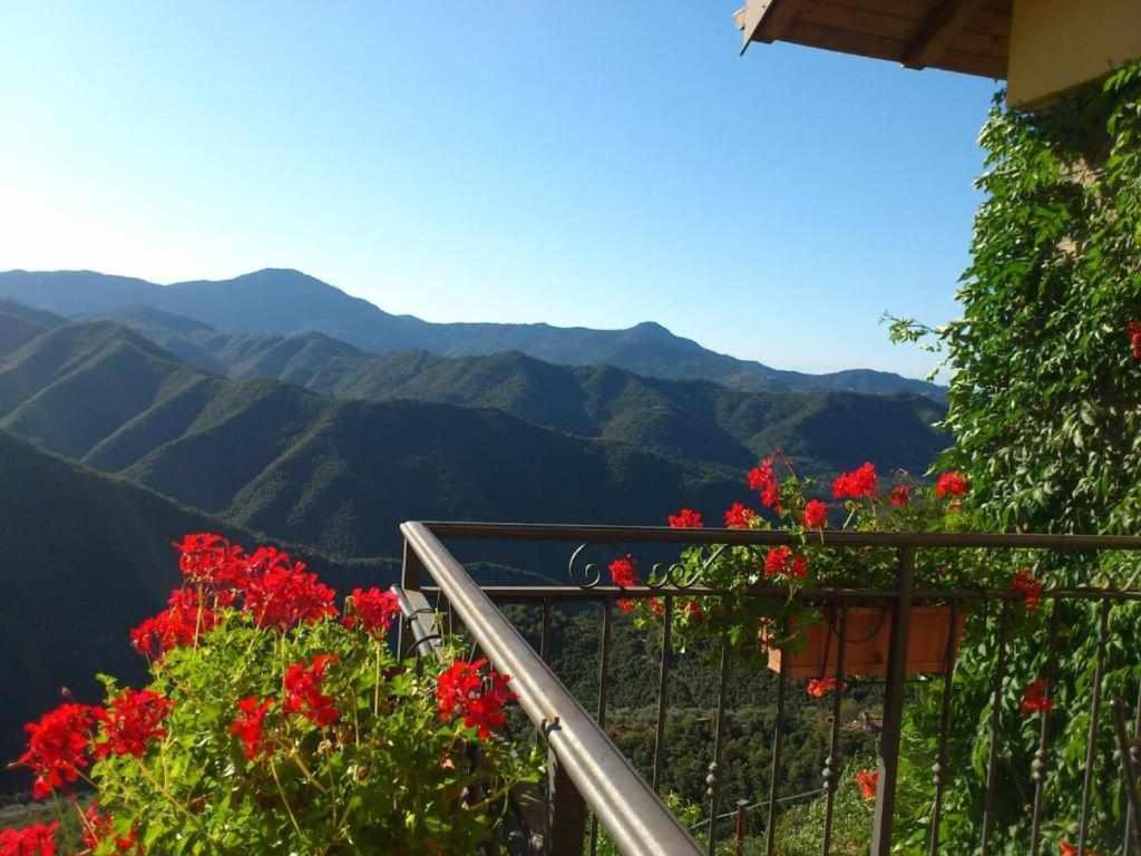 Agriturismo Al Pagan Pigna Exterior foto